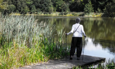 Older person in a white top stands on a wooden dock by a calm lake, using hiking poles among tall reeds.