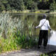 Older person in a white top stands on a wooden dock by a calm lake, using hiking poles among tall reeds.