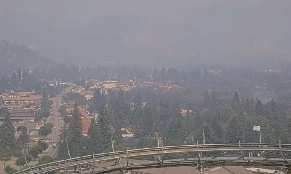 Hazy panoramic view of a suburban city surrounded by trees, seen from a high overlook with a metal guardrail in the foreground.
