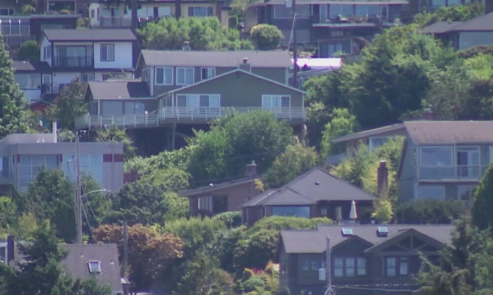 Hilly suburban neighborhood with closely spaced houses and green trees across the slope.