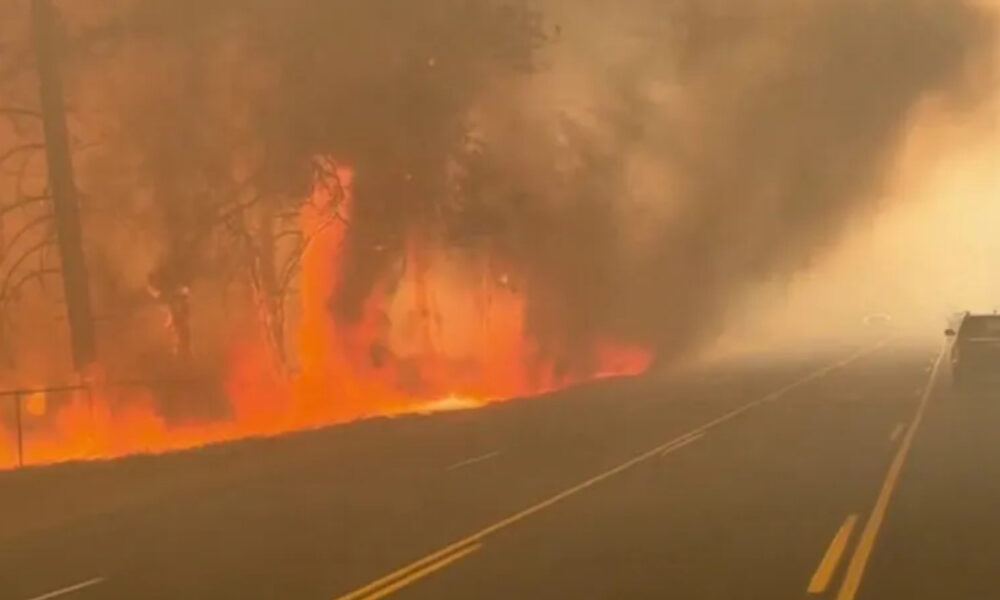 Wildfire blazing along a hillside beside a road with heavy smoke and silhouettes of trees.