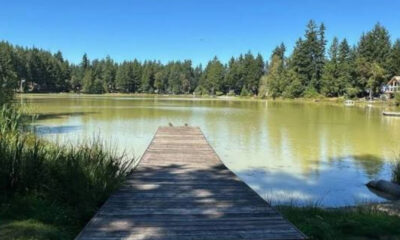 Wooden dock extends into a calm lake with a forested shore and clear blue sky above.
