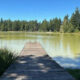 Wooden dock extends into a calm lake with a forested shore and clear blue sky above.