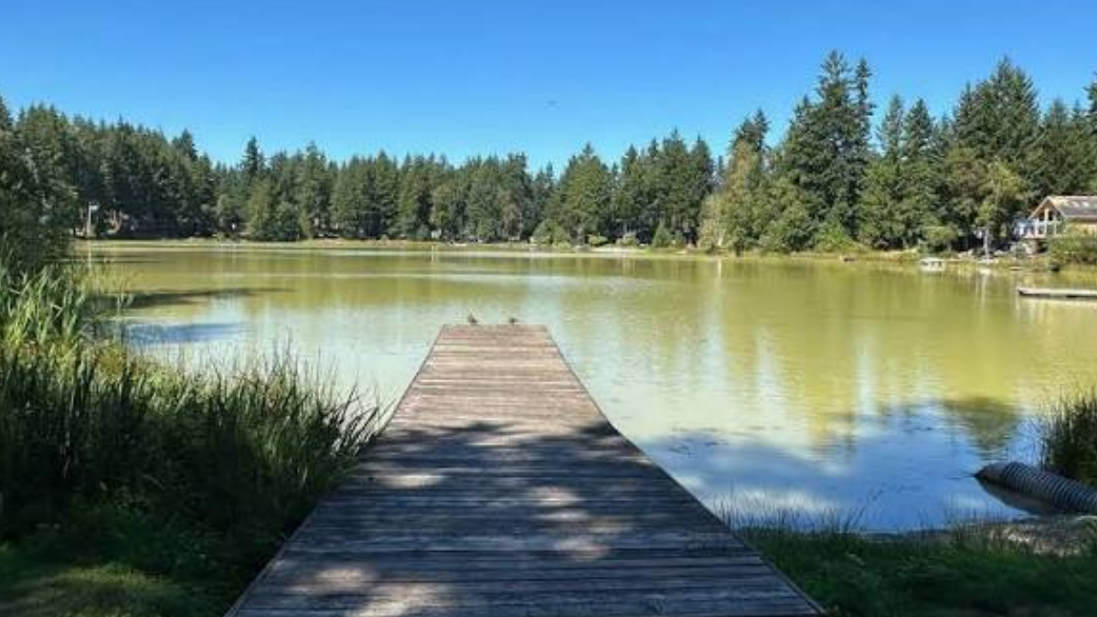 Wooden dock extends into a calm lake with a forested shore and clear blue sky above.