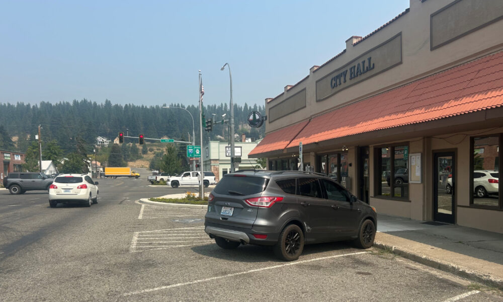 City street view in front of a beige City Hall with red awning; a gray SUV is parked in a diagonal handicap space by the storefronts in the foreground.