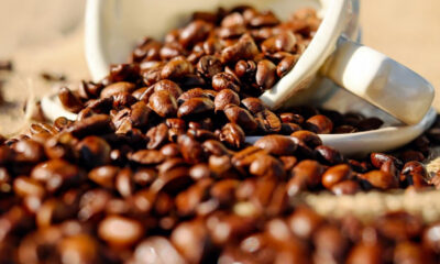 Brown roasted coffee beans spilling from a white ceramic cup onto a rustic surface.