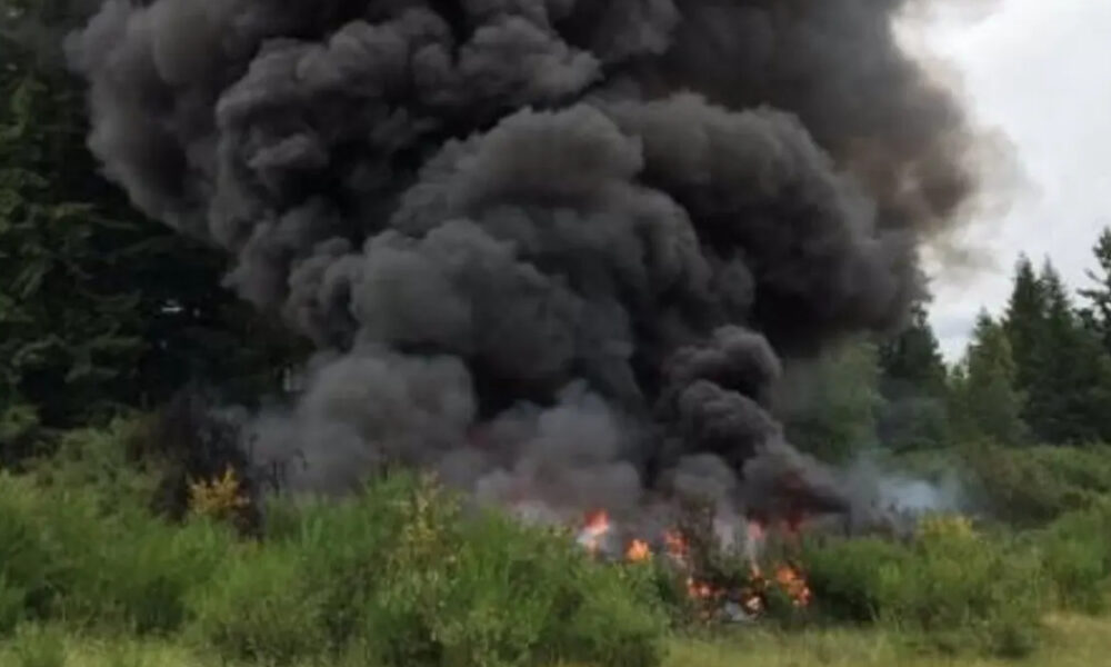 Thick black smoke rising from a grass and brush fire in a wooded area with trees in the background