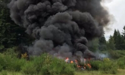 Thick black smoke rising from a grass and brush fire in a wooded area with trees in the background