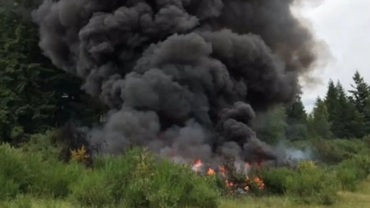 Thick black smoke rising from a grass and brush fire in a wooded area with trees in the background