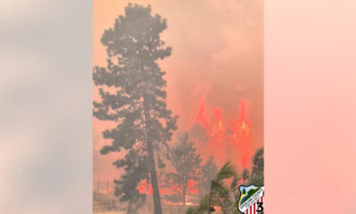 Wildfire burning among trees with orange flames and smoke, a county fire shield is in the lower right corner for context
