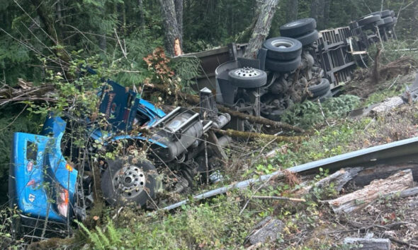 Blue semi-truck overturned on a forested hillside, with wheels and undercarriage visible among brush and debris (accident scene).