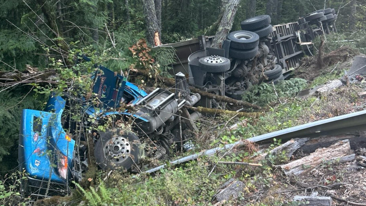 Blue semi-truck overturned on a forested hillside, with wheels and undercarriage visible among brush and debris (accident scene).