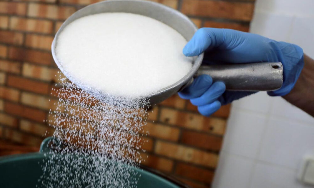 Gloved hand pours granulated sugar from a metal pan into a pot, sugar falling midair into a kitchen pot.
