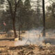 Firefighters in yellow gear work through a burned, rubble-strewn landscape with smoke drifting through charred trees in the background.