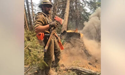 Firefighter in protective gear and helmet standing beside a smoking tree stump, holding a large axe while forest debris smolders nearby.