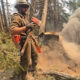 Firefighter in protective gear and helmet standing beside a smoking tree stump, holding a large axe while forest debris smolders nearby.