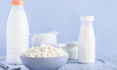Bowl of cottage cheese with milk bottles in a pale blue kitchen setting.