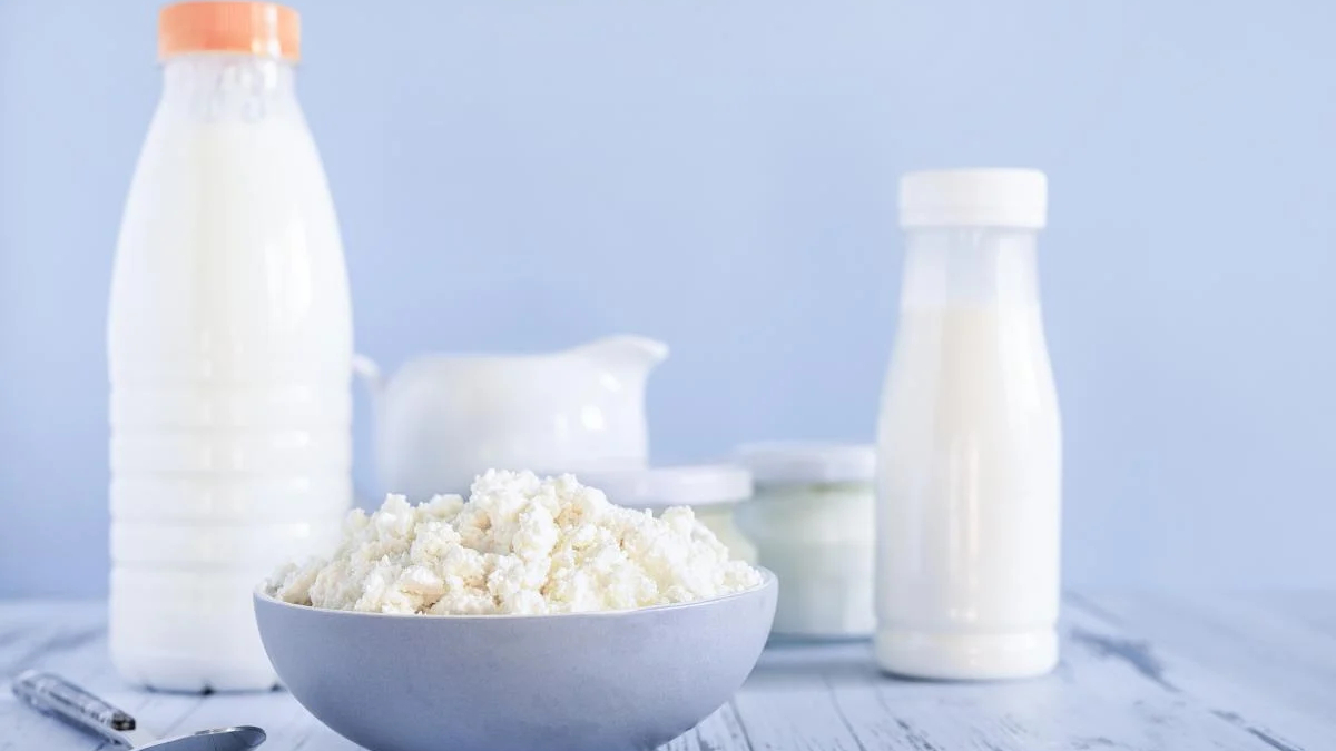Bowl of cottage cheese with milk bottles in a pale blue kitchen setting.