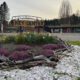 Roundabout flower bed with purple shrubs, yellow daffodils, and driftwood border, featuring a large 'Welcome to Key Center' sign in a small town.