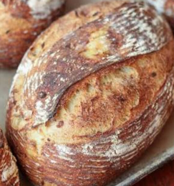 Rustic crusty bread boules cooling on a baking sheet with a flour-dusted crust.