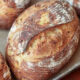 Rustic crusty bread boules cooling on a baking sheet with a flour-dusted crust.