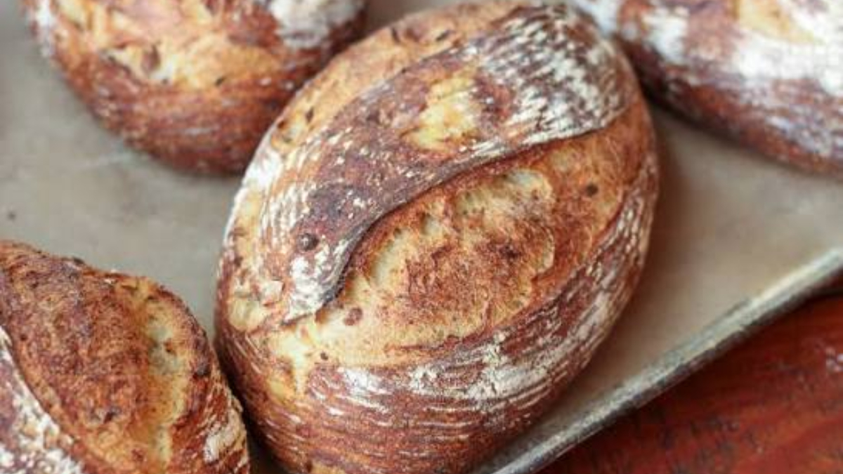 Rustic crusty bread boules cooling on a baking sheet with a flour-dusted crust.