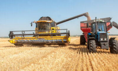 Yellow combine harvester and blue tractor with red grain cart in a golden wheat field under a clear blue sky, performing grain transfer.