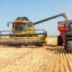 Yellow combine harvester and blue tractor with red grain cart in a golden wheat field under a clear blue sky, performing grain transfer.