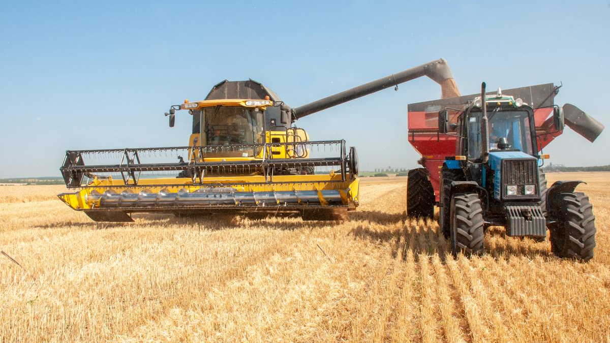Yellow combine harvester and blue tractor with red grain cart in a golden wheat field under a clear blue sky, performing grain transfer.