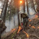 Forest firefighters in khaki gear and white helmets working on a smoky slope, using torches to start a backburn amid flames and pine trees.