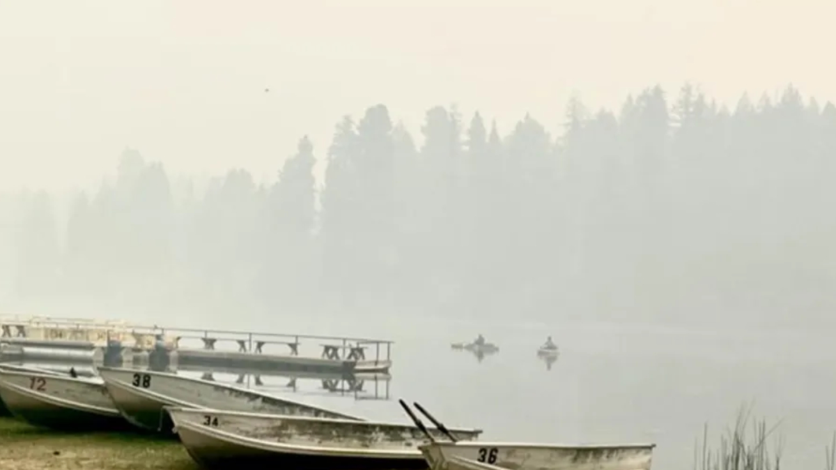 Mist-covered lake with several small rowboats lined at the shore and a wooden dock in the background.