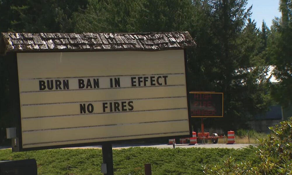 Outdoor roadside sign reading 'BURN BAN IN EFFECT' and 'NO FIRES' with trees in the background nearby construction cones.