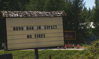 Outdoor roadside sign reading 'BURN BAN IN EFFECT' and 'NO FIRES' with trees in the background nearby construction cones.
