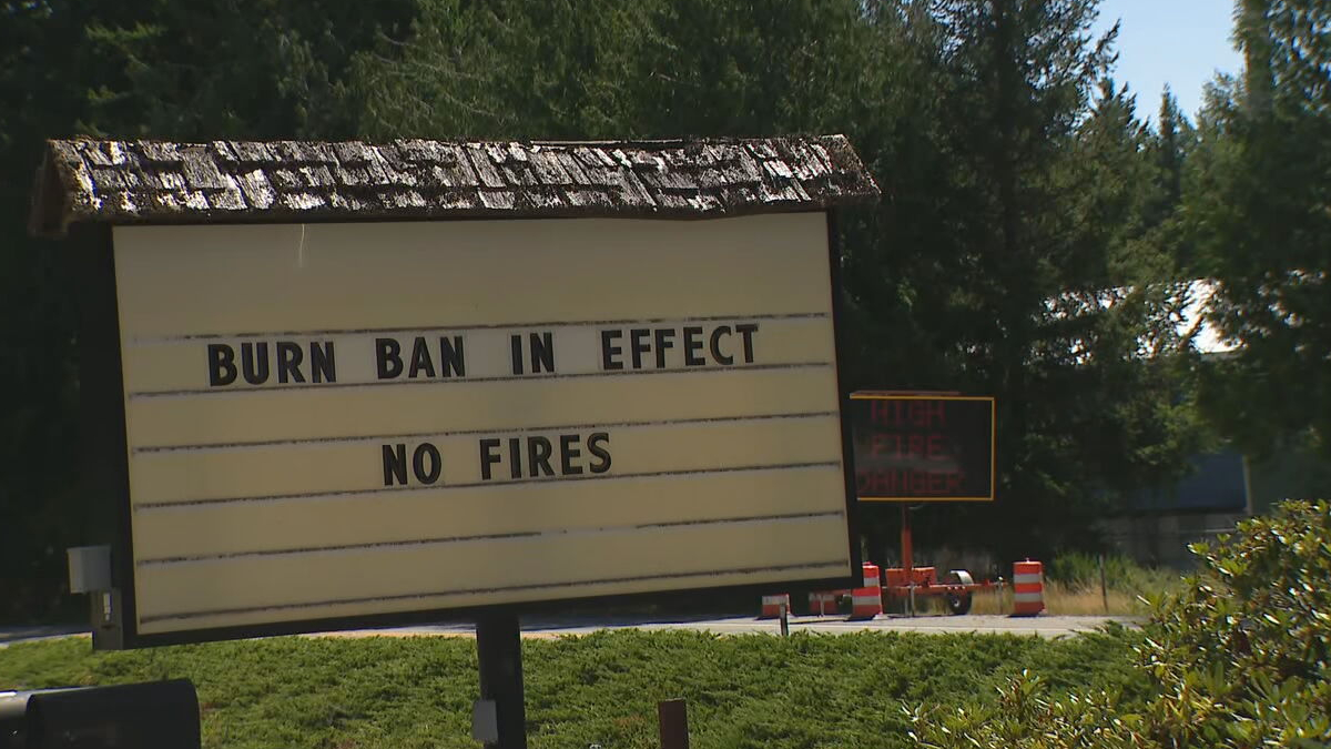 Outdoor roadside sign reading 'BURN BAN IN EFFECT' and 'NO FIRES' with trees in the background nearby construction cones.