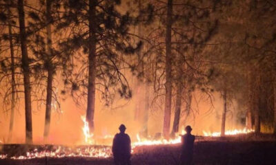 Two silhouetted figures stand in a forest as a wildfire burns through trees at night, with flames along the ground creating an orange glow in the darkness.