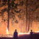 Two silhouetted figures stand in a forest as a wildfire burns through trees at night, with flames along the ground creating an orange glow in the darkness.