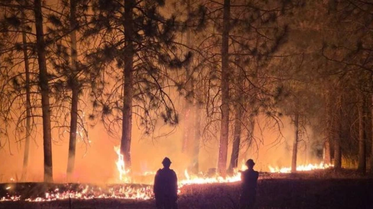 Two silhouetted figures stand in a forest as a wildfire burns through trees at night, with flames along the ground creating an orange glow in the darkness.