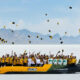Team in yellow shirts on a bright yellow JCB hydro race boat on a salt flat, tossing hats into the air with mountains in the background.