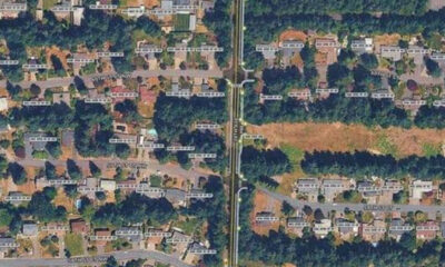 Aerial view of a residential neighborhood with tree-lined streets and rows of single-family houses around a central vertical road.