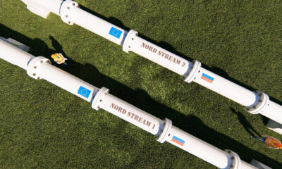 Overhead view of white Nord Stream 1 and Nord Stream 2 gas pipelines lying on green grass, labeled on each segment.