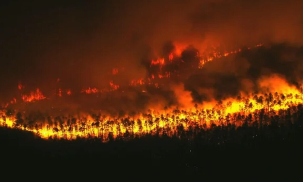 Forest hillside ablaze with wildfire at night, flames consuming trees and smoke filling the sky.