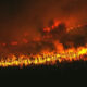 Forest hillside ablaze with wildfire at night, flames consuming trees and smoke filling the sky.