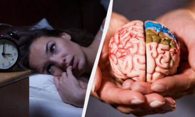Split image: left side shows a woman awake in bed beside an alarm clock, right side shows hands holding a detailed model of a brain, illustrating sleep and brain research/health.