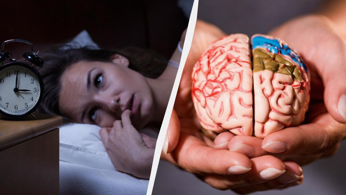 Split image: left side shows a woman awake in bed beside an alarm clock, right side shows hands holding a detailed model of a brain, illustrating sleep and brain research/health.