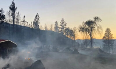 Burned campground at dusk with smoke, charred trees, and a small shelter on the left side of the scene.