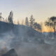 Burned campground at dusk with smoke, charred trees, and a small shelter on the left side of the scene.