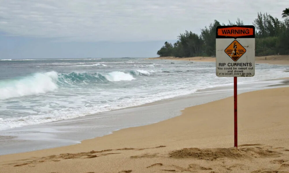 Warning sign on a beach warning of rip currents, with waves crashing and a tree line in the background.