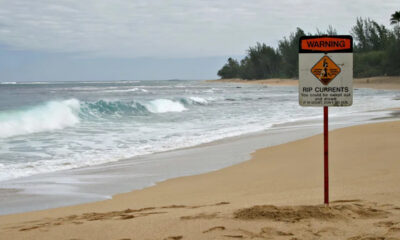 Warning sign on a beach warning of rip currents, with waves crashing and a tree line in the background.