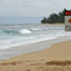 Warning sign on a beach warning of rip currents, with waves crashing and a tree line in the background.