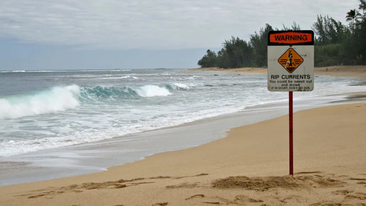 Warning sign on a beach warning of rip currents, with waves crashing and a tree line in the background.